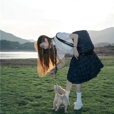 落花时节又逢君