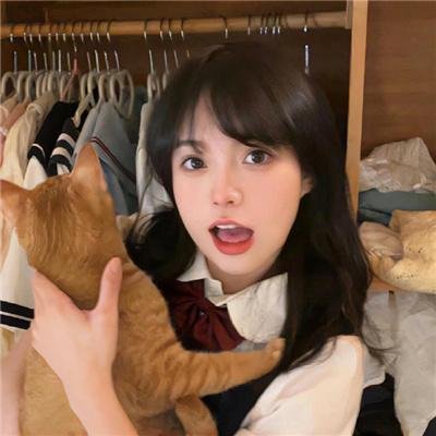 淑女宠爱
